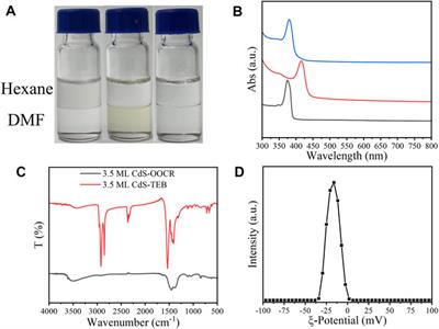 Triethyl-Borates as Surfactants to Stabilize Semiconductor Nanoplatelets in Polar Solvents and to Tune Their Optical Properties